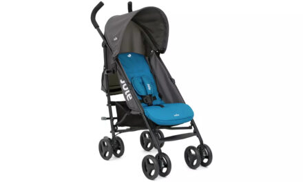 Top 10 Sustainably Built Strollers